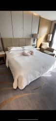 -大美母婴月子中心(希尔顿店)