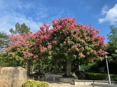 -中国闽台缘博物馆