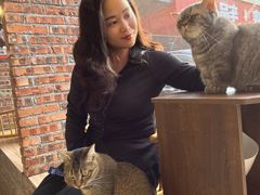 -豆逗聊愈猫阁Easy Life