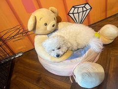 -NRG 健身私教CLUB(云山路店)