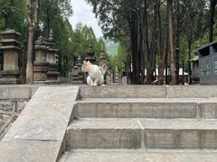 -四门塔风景区