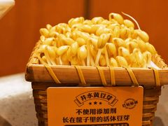-巴奴毛肚火锅(大剧院店)