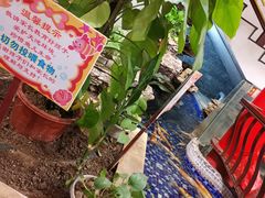 -十三行国医馆