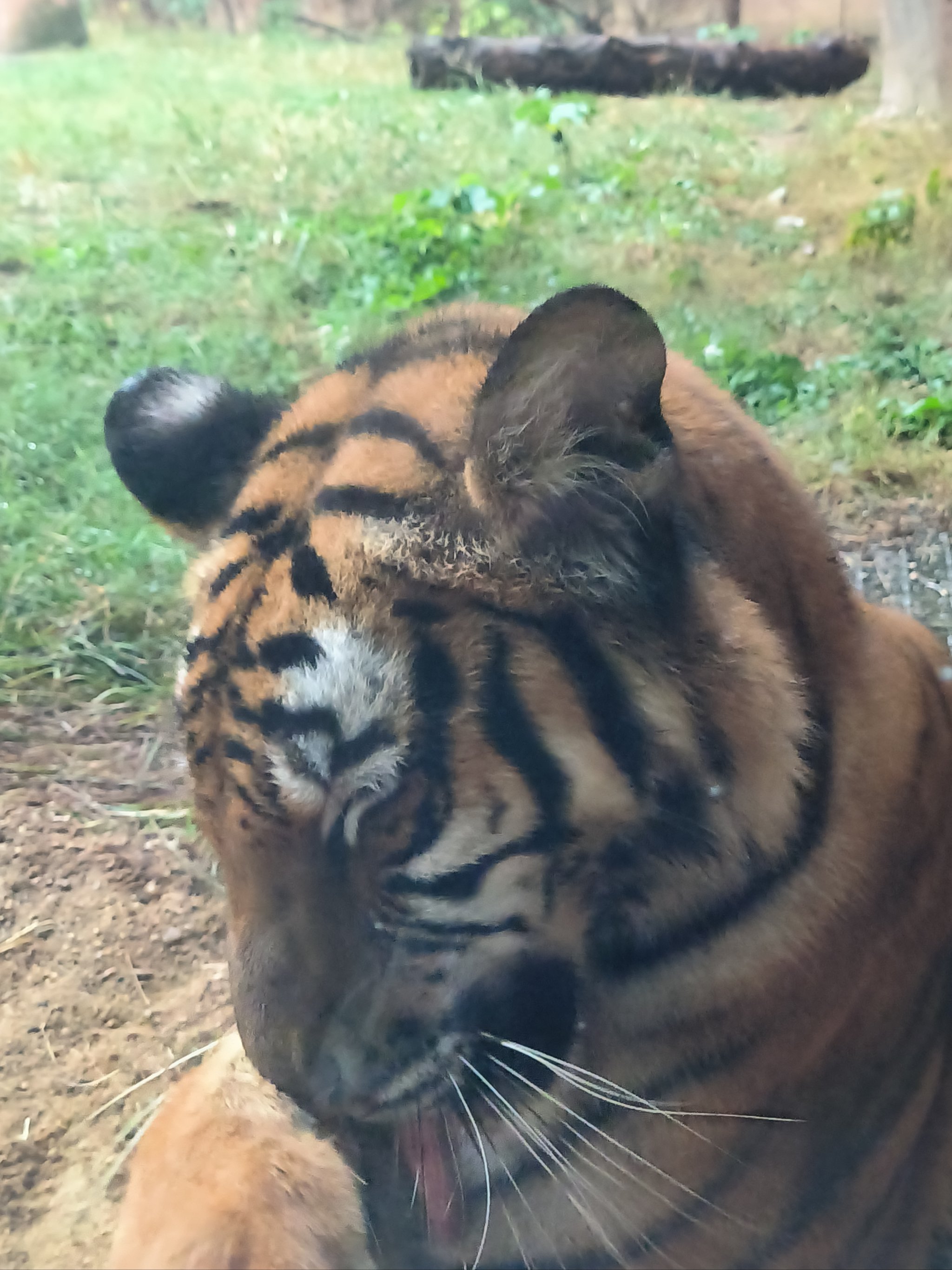 杭州野生动物世界