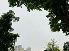 -万绿园