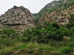 -大岭沟猕猴桃谷风景区