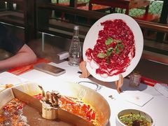 -小龙翻大江文化火锅(宽窄店)