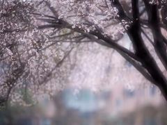 -金日成广场