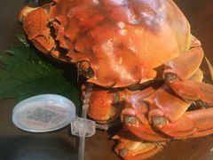 -苏帮袁Sue Cuisine(南开大悦城店)