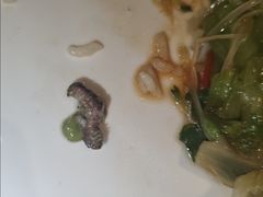 白灼罗马生菜-金春禧(北国商城店)