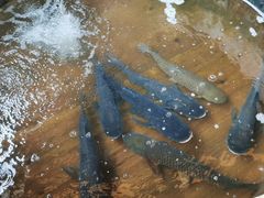 -湖南别院·美学庭院餐厅(惠阳店)