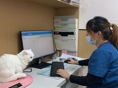 -瑞派康怡24h宠物医院·犬猫医疗中心·微创绝育(瑞景分院)