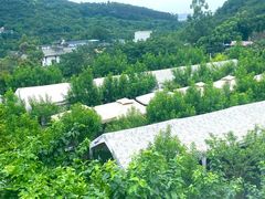 -桃源山庄·水蜜桃采摘·柴火鸡·烧烤团建(龙泉山店)