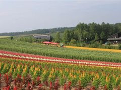 -富田农场