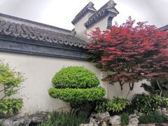 -檀园