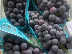 -马陆小张葡萄园农家乐