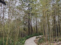 -南京市无想山景区