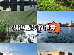 -映月湖中央公园
