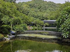 -云溪植物园