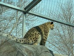 -青藏高原野生动物园