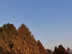 -贡湖湾湿地公园