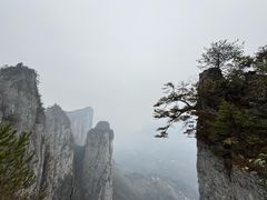 -恩施大峡谷