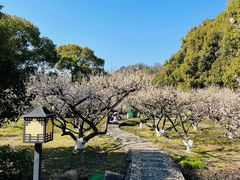 -白马涧龙池景区