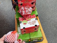 -双福水果批发市场