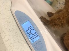 -萌兽医馆·犬猫专科·眼科中心·宠物医院(朝阳门分院)
