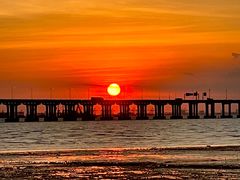 -宝安西湾红树林湿地公园