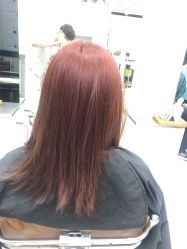 -潘多拉Hairsalon