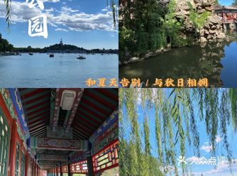 萧瑟秋分今又是·在初秋午后逛公园才是正经事·不负秋天的朋友圈