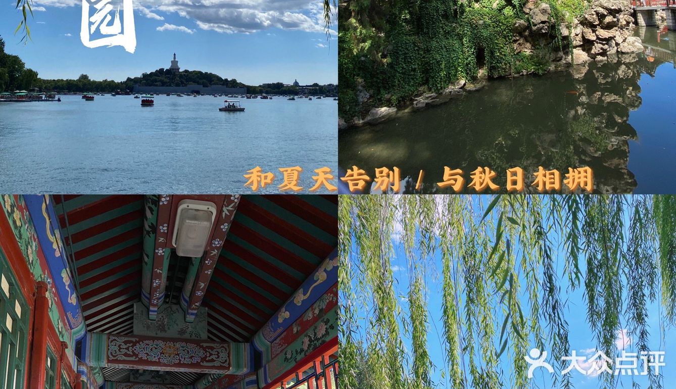 萧瑟秋分今又是·在初秋午后逛公园才是正经事·不负秋天的朋友圈