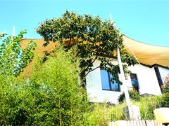 -帐篷客·溪龙茶谷度假酒店