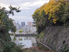 -名古屋城