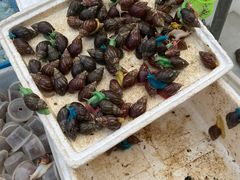 -华声天桥民俗文化园