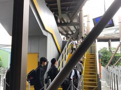 -飞天翼龙