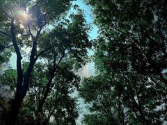 -宜兴龙背山森林公园