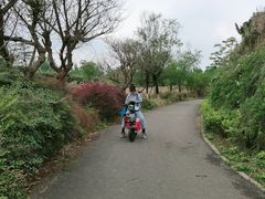 -白鹭湾湿地公园