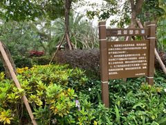 -水底山庄园温泉
