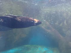 -洛阳龙门海洋馆