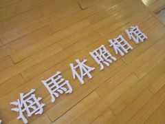 -海马体照相馆(大连罗斯福广场店)