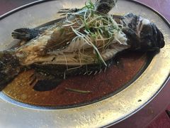 -大湾区中央湿地公园-十九涌