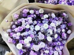 -叁朵花室
