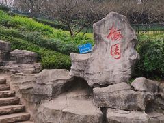-重庆彩云湖湿地公园