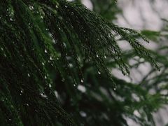 -大明山自然探索公园