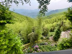 -莫干山风景区