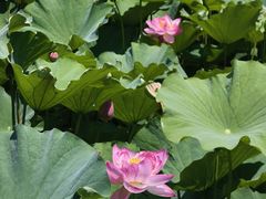 -苏州河梦清园环保主题公园