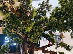 -三江源活鱼现烤(维多利摩尔城店)