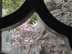 -耦园